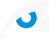 Hawksight Logo